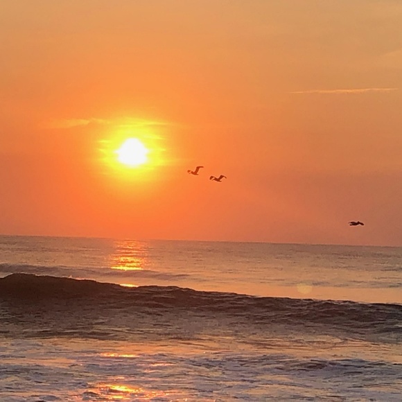 Meet your Posher, N L - Picture 8 of 8